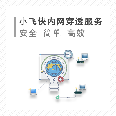 小飞侠内网穿透服务
