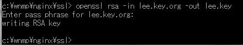 Nginx配置SSL实现Https访问
